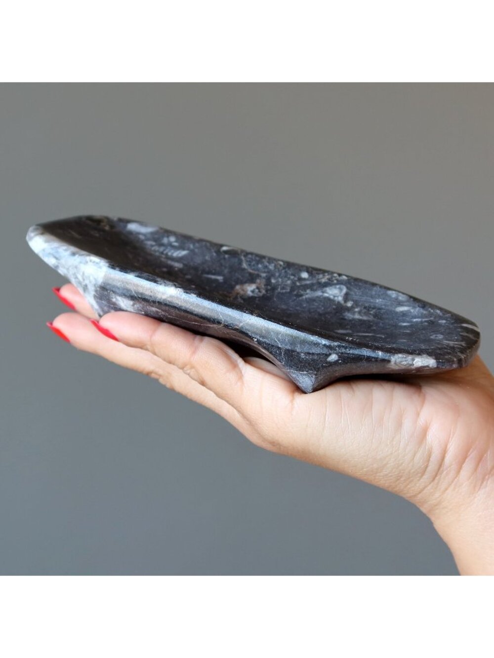 Orthoceras Fossil Charger Dish Ancient Wounded Warrior Black Stone Tray